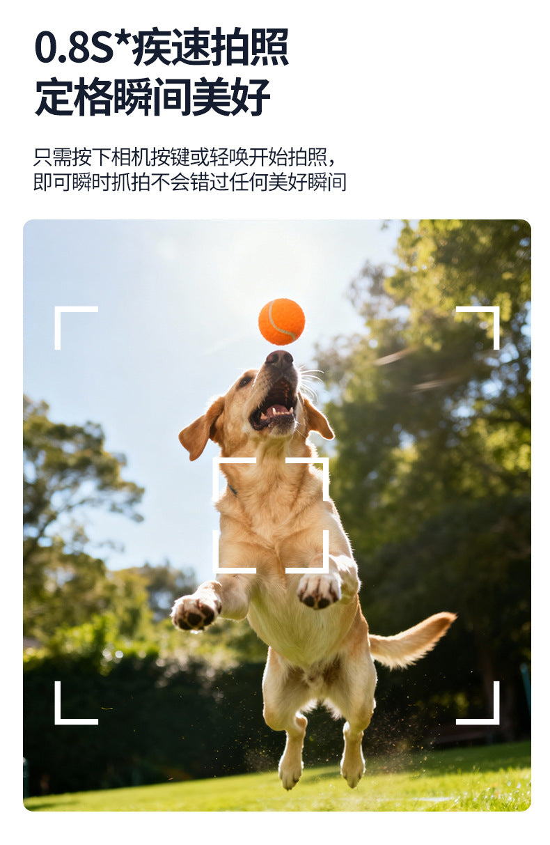 In-stock wholesale supply ai Smart Translation Bluetooth Glasses1200w Dual Microphone Noise Reduction for Photography and Live Streaming