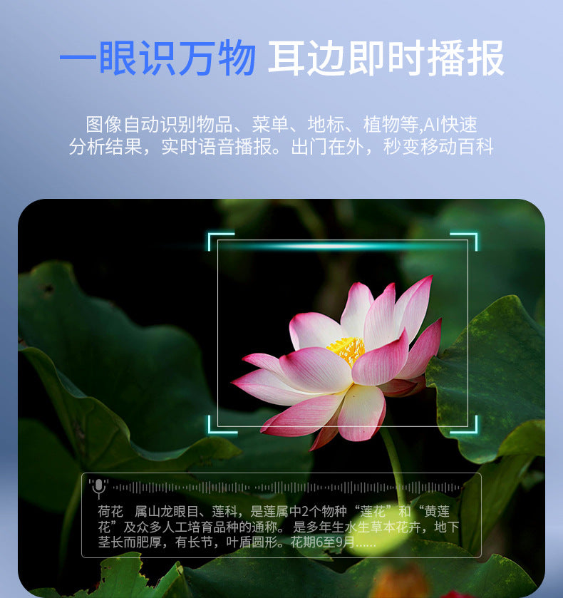 V03-T6Smart Glasses800100 Megapixel Camera with Image Stabilization1200P Video Recording Audio Recording AI Translation Recognition