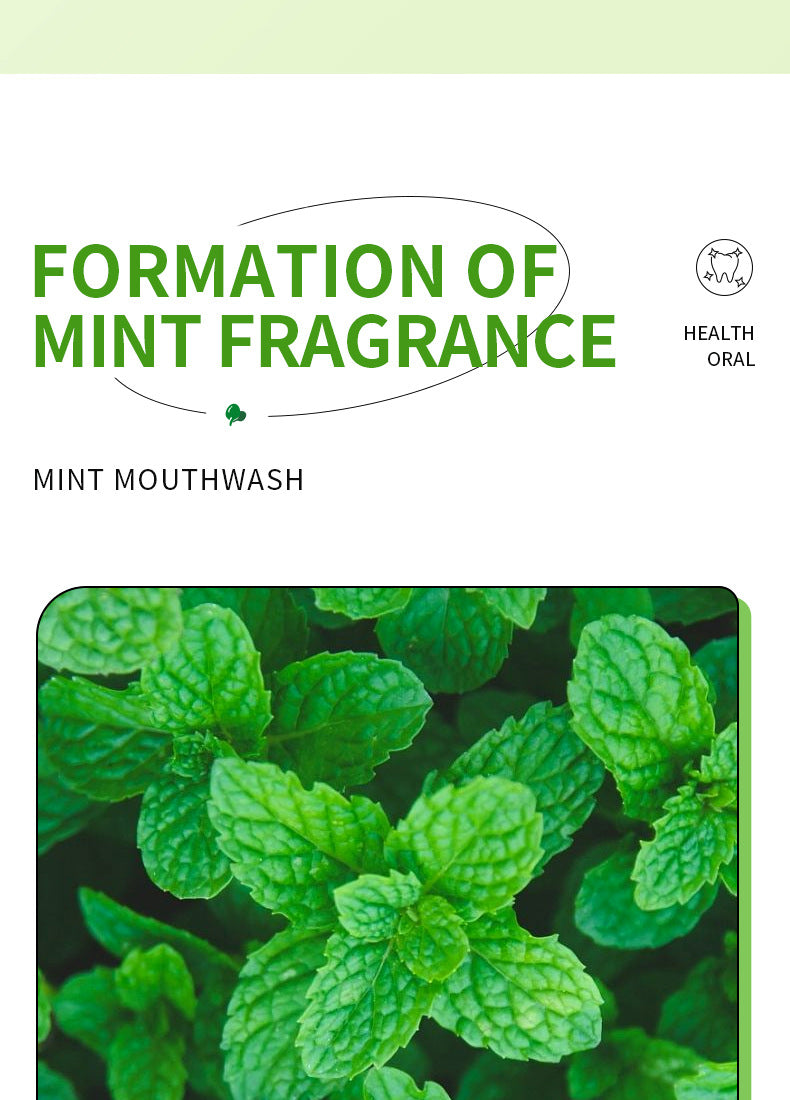 Full English Mouthwash Box Set SADOER Disposable Portable Oral Cleaning Care  Foreign Trade Wholesale