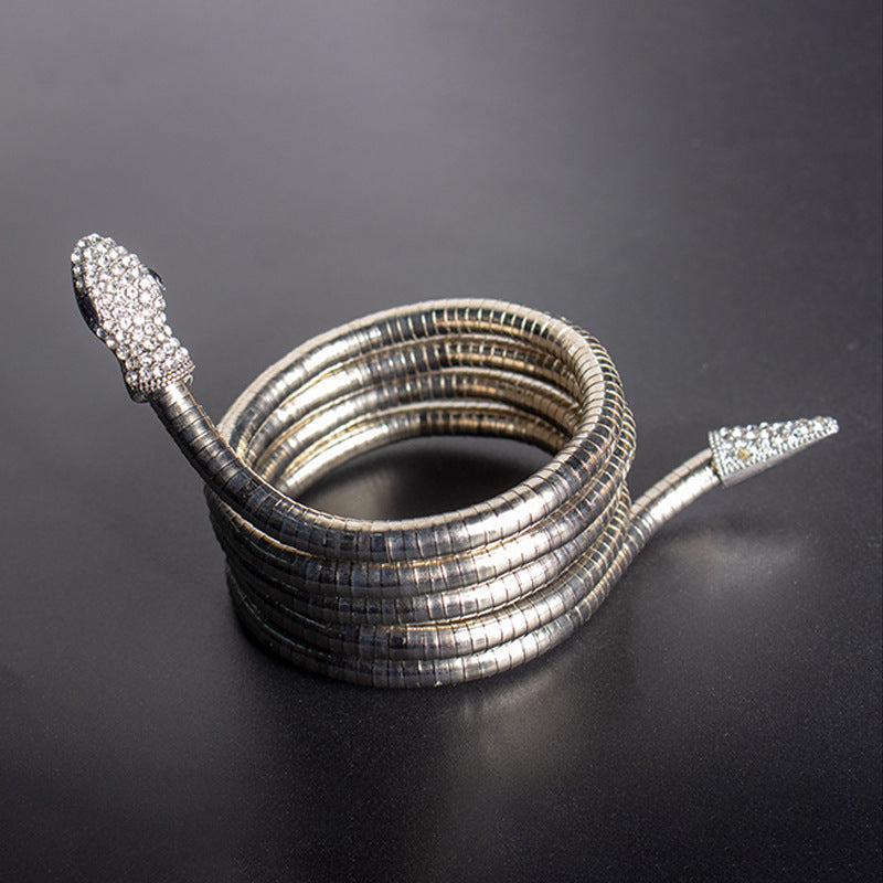 Men's New Necklace Women's Versatile High-end European and American Style Jewelry ins Minimalist Snake Bone Chain Snake Necklace