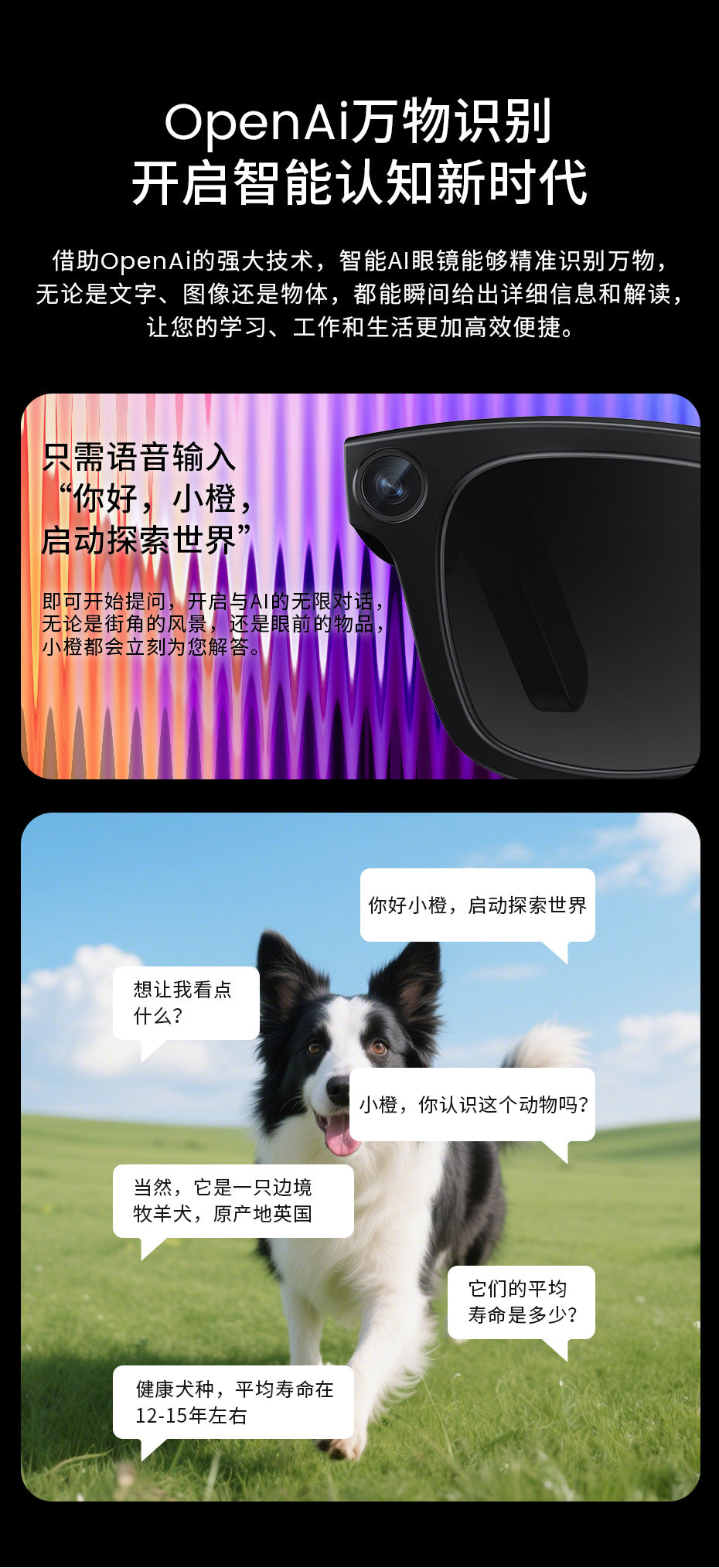2025New AI Smart Shooting Glasses HD Anti-Shake Sunglasses ai Identification ai Simultaneous Translation Glasses for Men
