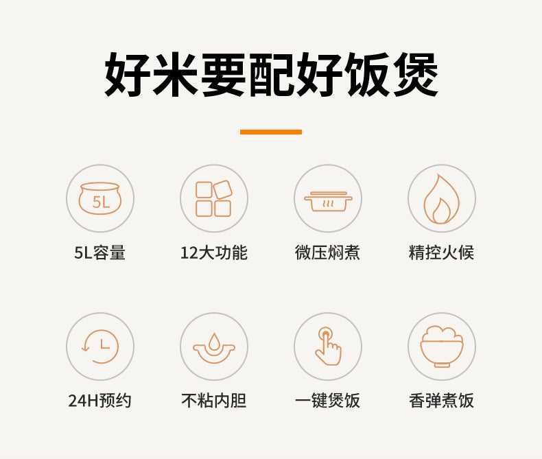 厂家直销家用5升大容量多功能电压力锅电饭煲压力锅批发