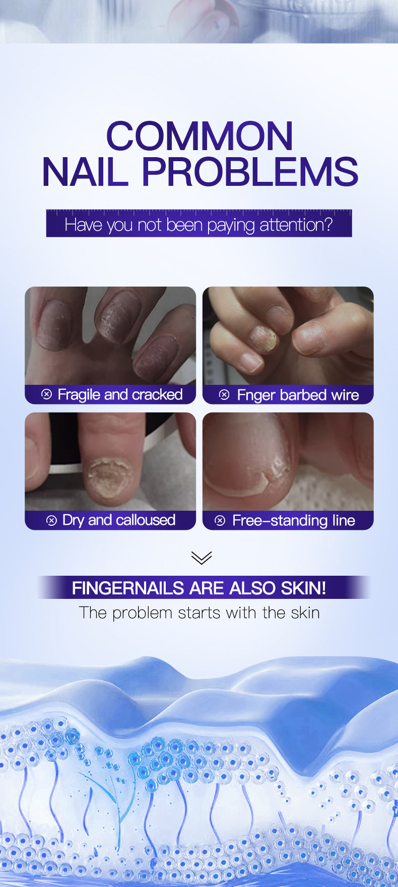 Full English Moisturizing Nail Care Essence SADOER Skin rejuvenation and moisturizing essence liquid  wholesale