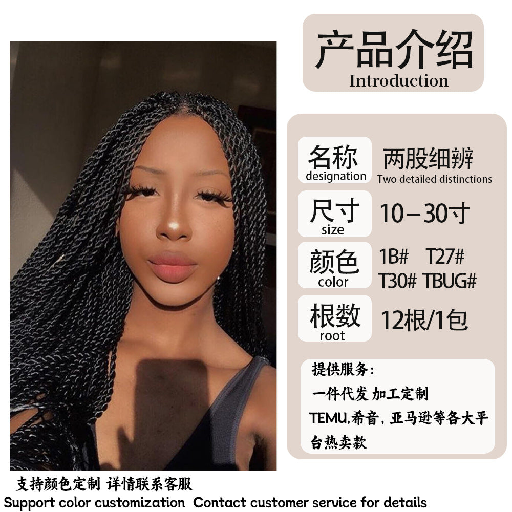 TEMU Hot Selling Export Wig Two Strands Fine Synthetic Wig Two detailed distinction