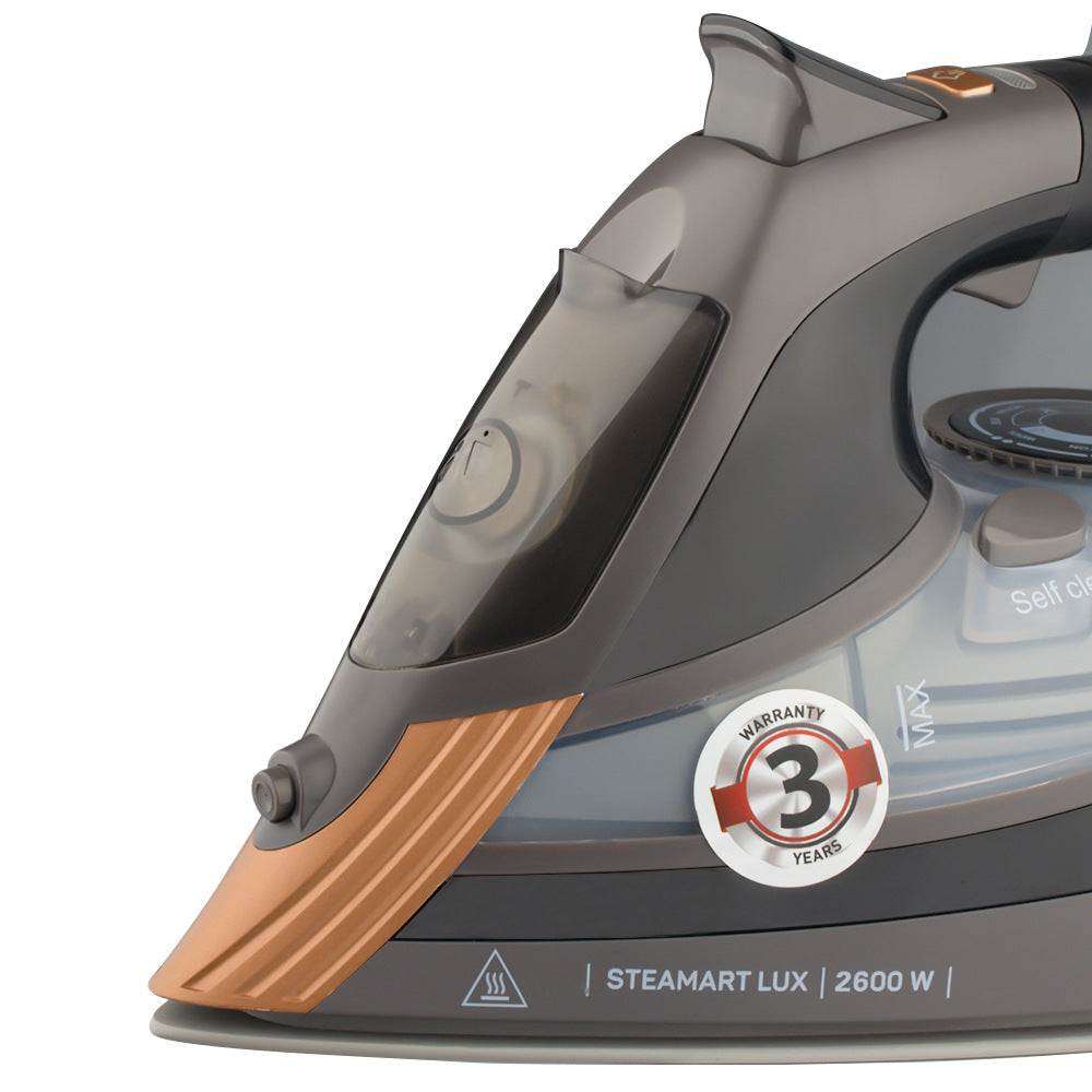 RAF European Standard Automatic Steam Electric Iron Household Handheld Fully Automatic Steam Electric Iron Ironing Machine