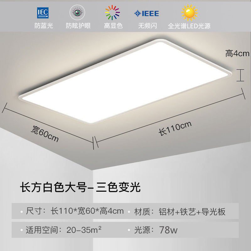 Full Spectrum Ceiling Light Hall High-end Zhongshan Lighting Modern Simple Living Room Light Home Study Bedroom Light