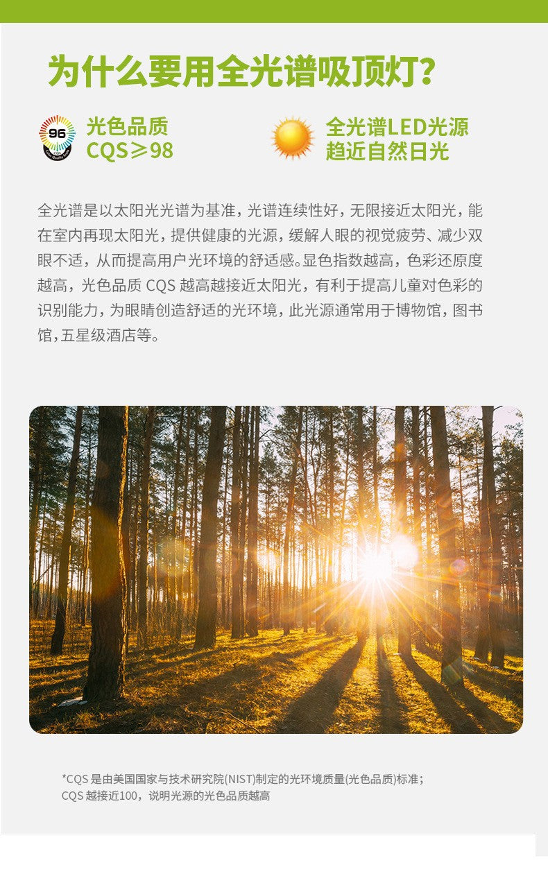 Full Spectrum Ceiling Light Hall High-end Zhongshan Lighting Modern Simple Living Room Light Home Study Bedroom Light