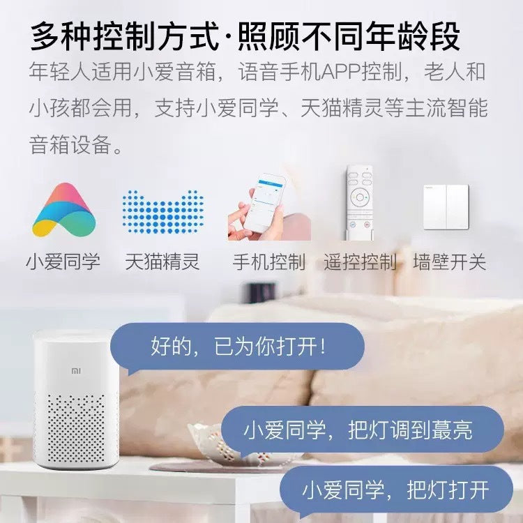 Full Spectrum Ceiling Light Living Room Light Hall Main Light Modern Simple Bedroom Light Whole House Zhongshan Lighting Home Decoration Lighting