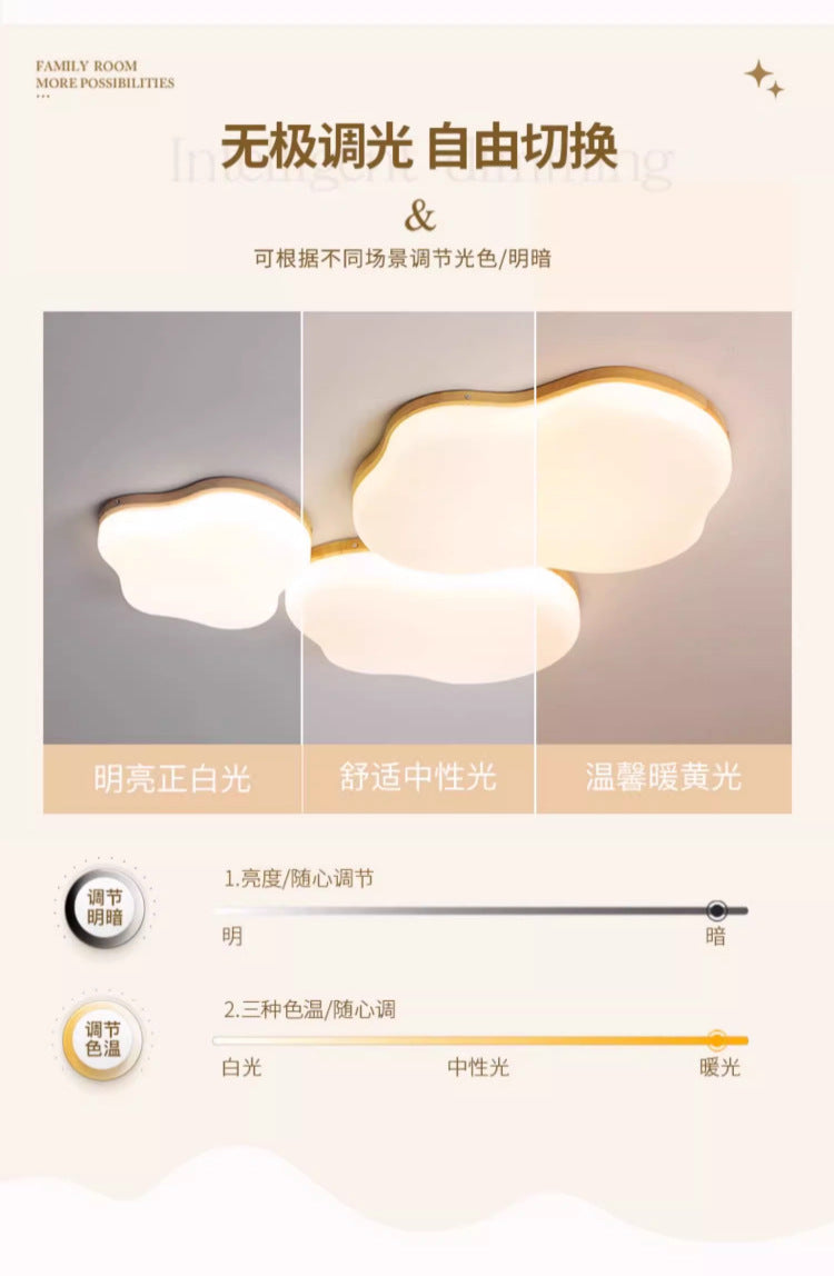 Bedroom Ceiling Lamp Modern Minimalist Irregular Cloud Study Lamp Nordic Art LED Master Bedroom Room Full Spectrum