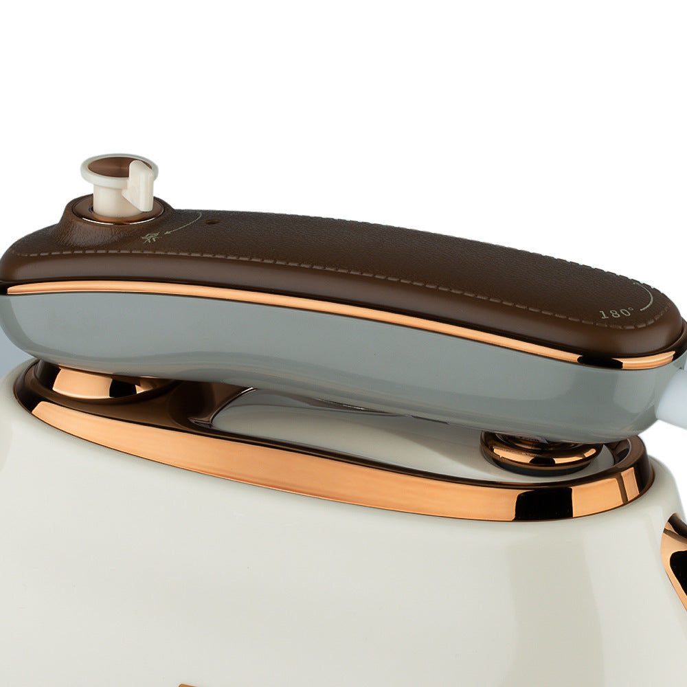 RAF EU Standard Handheld Steam Iron Portable Garment Steamer Home Business Travel Mini Iron