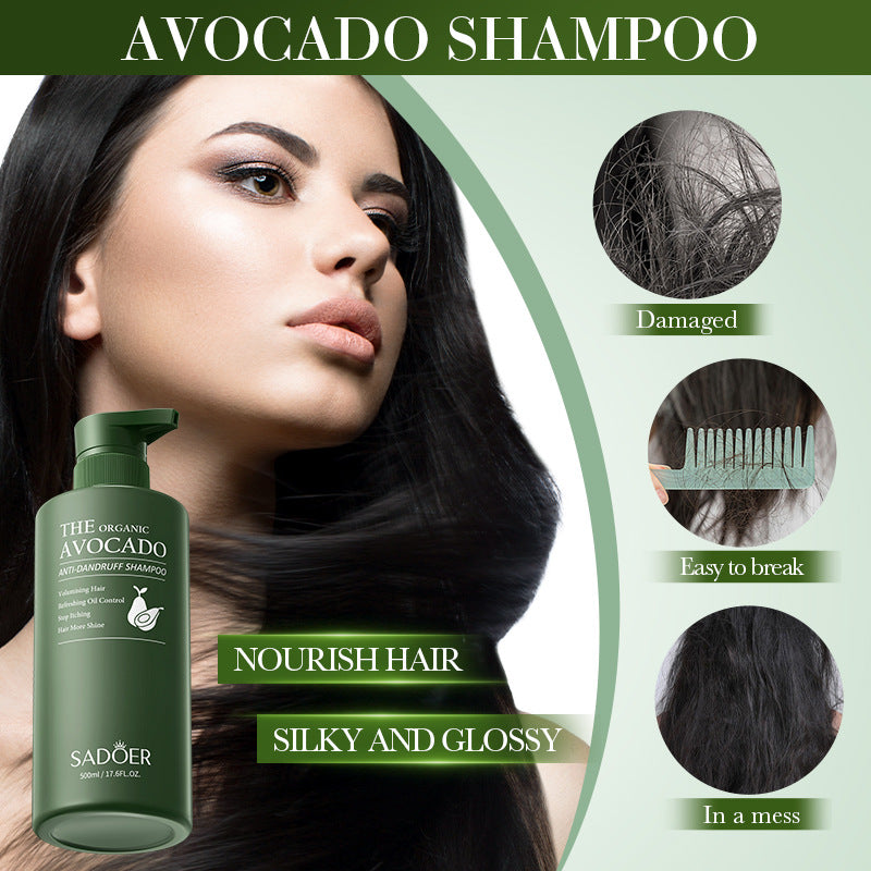 Full English Avocado Anti-Dandruff Oil Control Shampoo SADOER Fluffy Deep Cleansing Shampoo  Wholesale