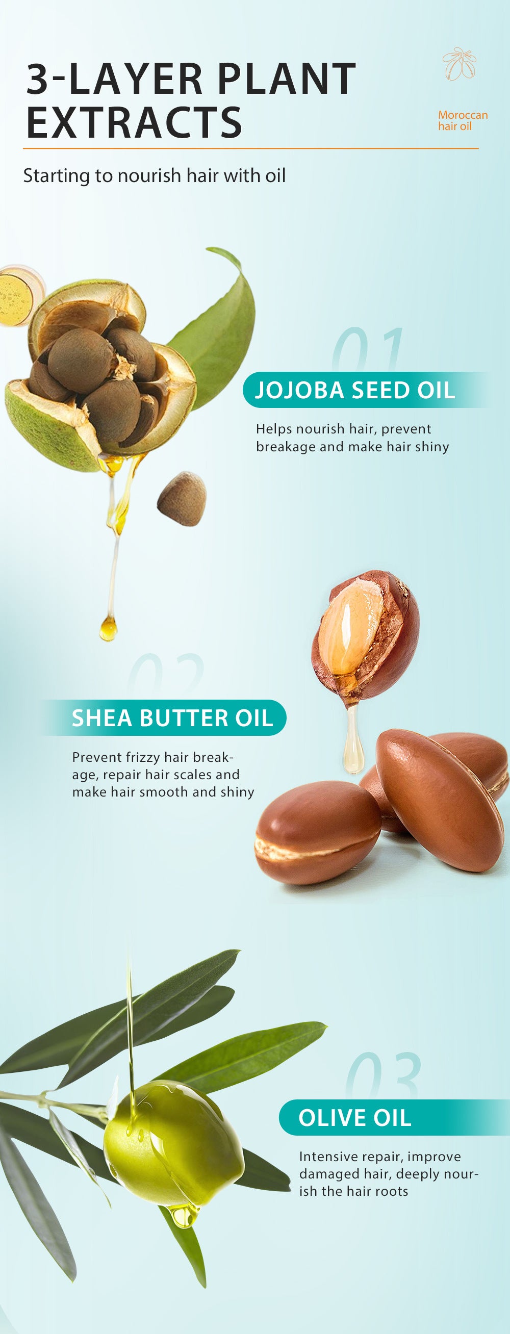 In Stock Full Moroccan Scalp Hair Care Essential Oil Universal Hair Maintenance Wholesale