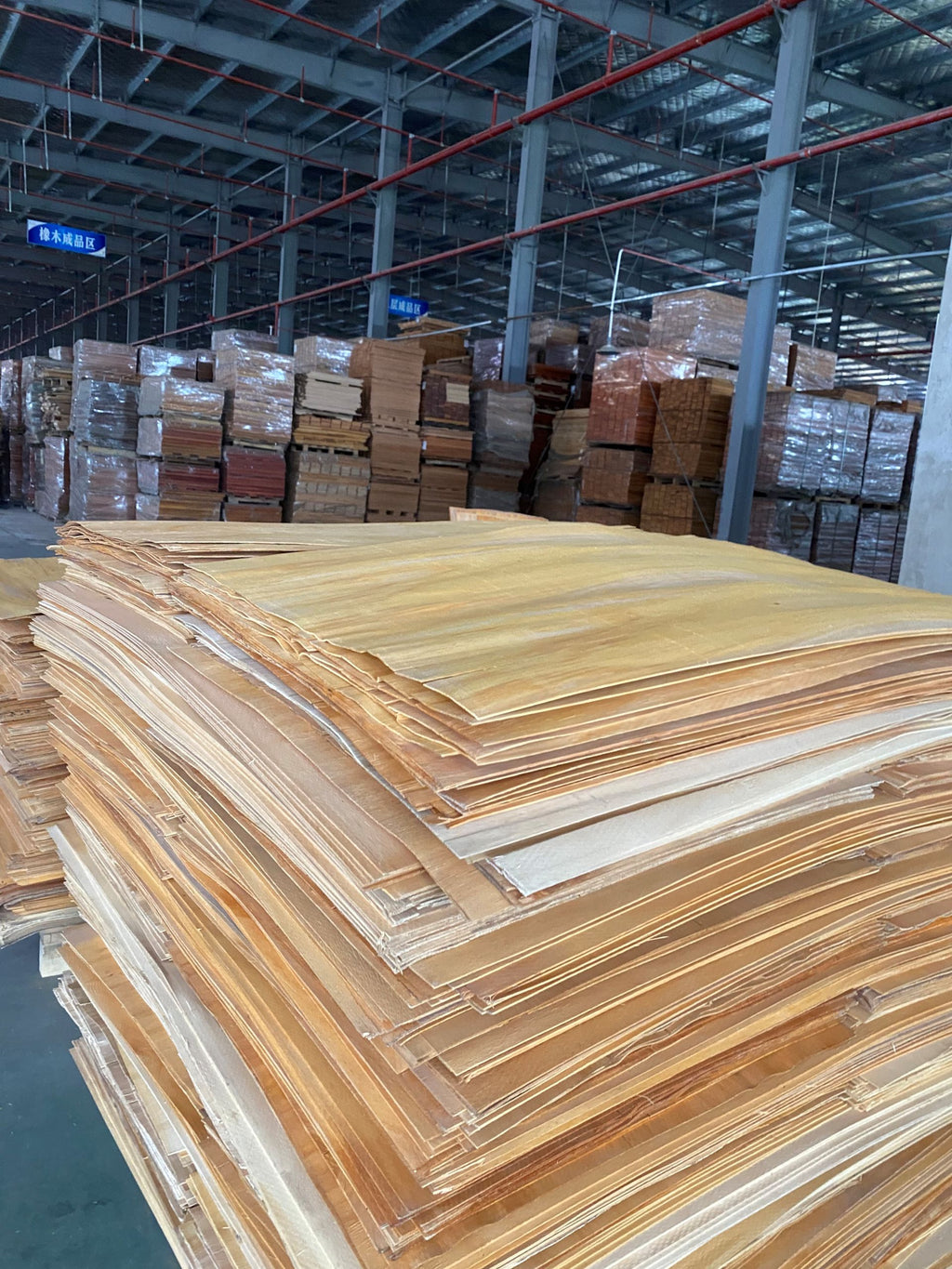 Veneer1