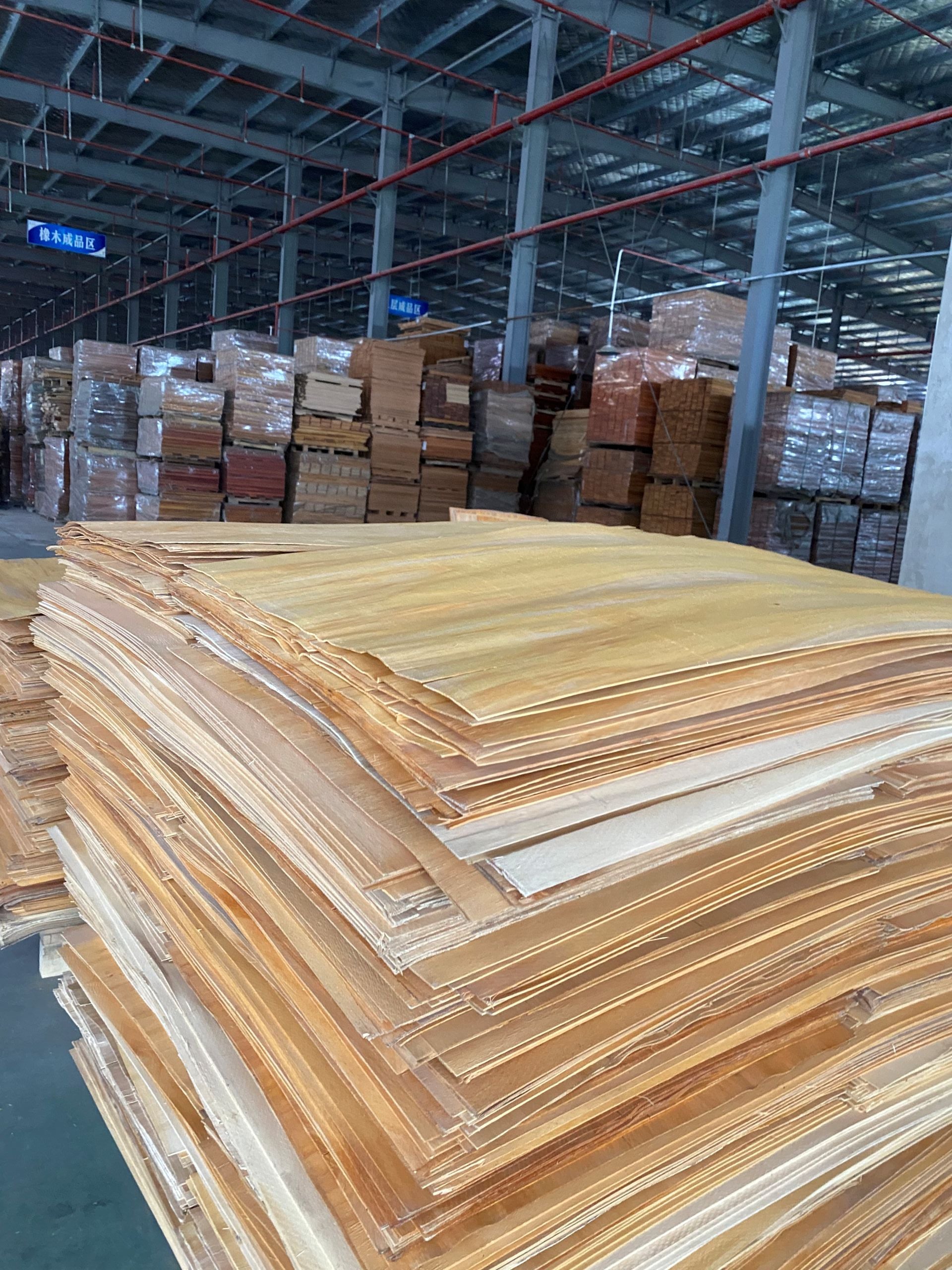 Veneer1