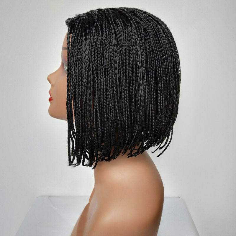 European and American Style Small Braids Wig for Women Small Curly Synthetic Hair Wig braidedwigsAfroDreadl Long Curly Hair