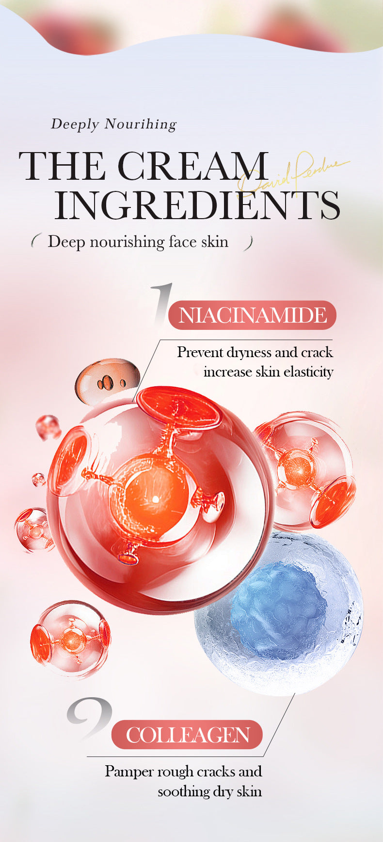 Full English Strawberry Cake Nourishing Cream BIOAOUA Moisturizing skin moisturizing cream  foreign trade wholesale