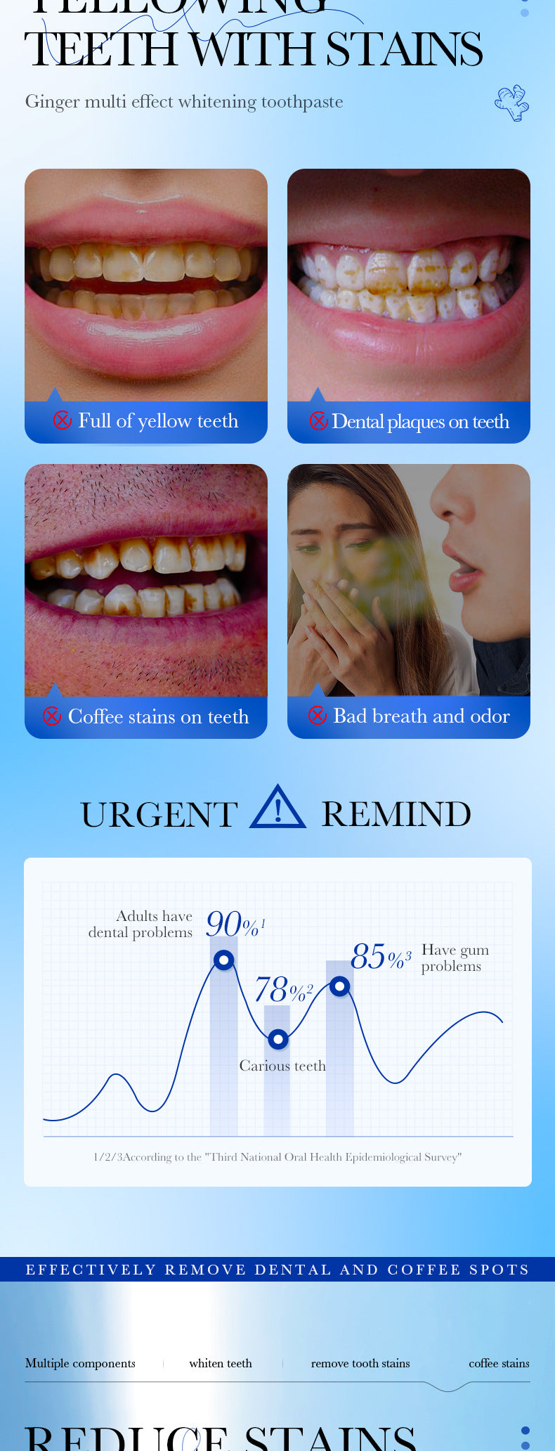 Full English Mint Toothpaste100gSADOER Propolis Sea Salt Ginger Cleans Tartar Strengthens Teeth  Wholesale