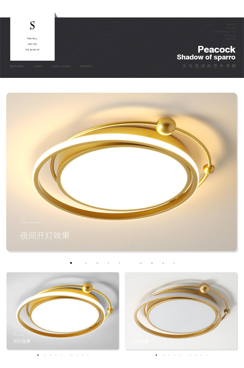 led Internet Celebrity Room Light Ceiling Light Simple Modern Master Bedroom Light Nordic Light Luxury ins Creative and Unique Restaurant Light