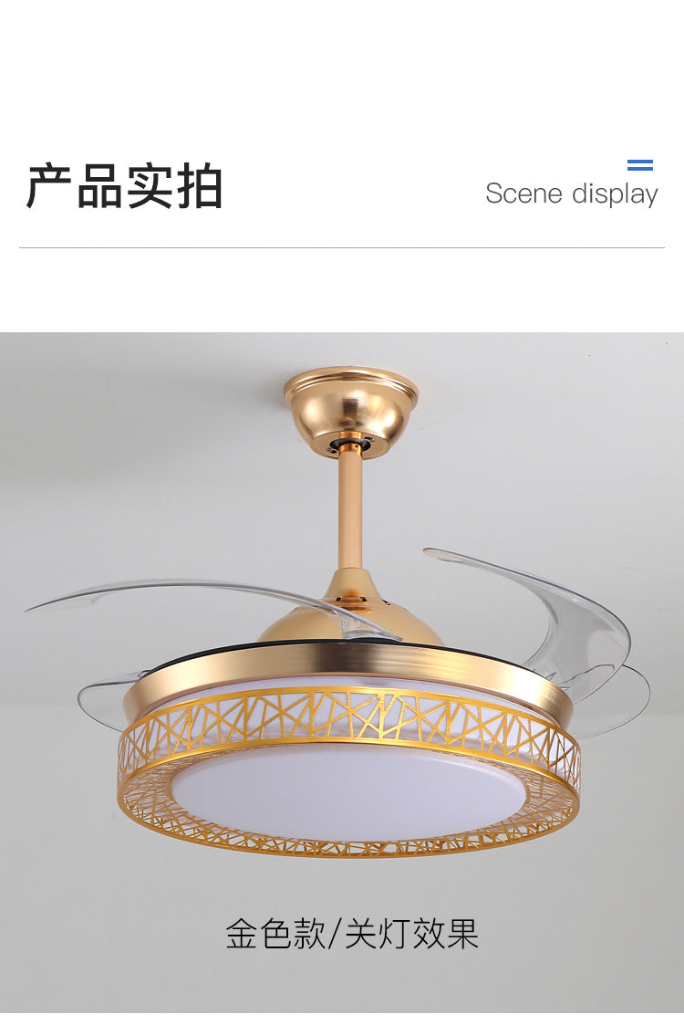 Ceiling Fan Light for Living Room, Bedroom, Dining Room, Nordic Postmodern Style, Luxury Lighted Electric Fan Ceiling Light