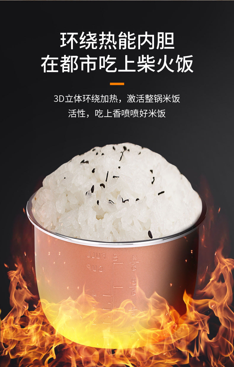 厂家直销家用2.5升电压力锅大容量电饭煲多功能批发压力锅