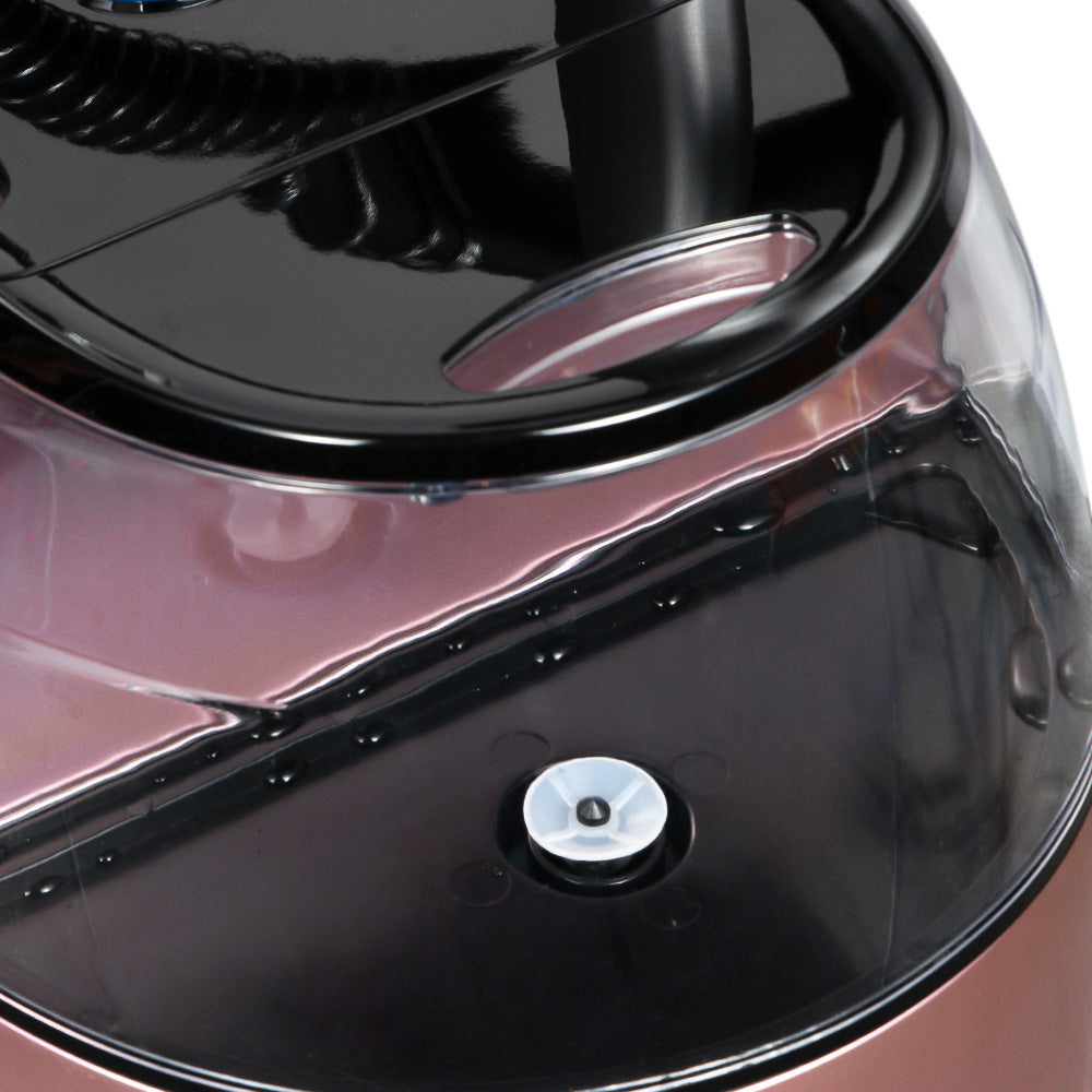 RAF European Standard Steam Home Use Garment Steamer Vertical Handheld Mini Hanging Iron R.3046