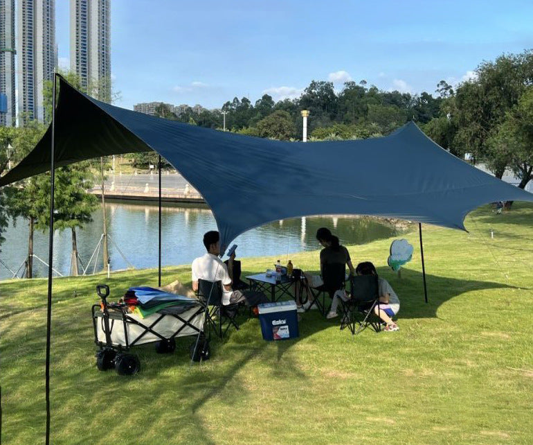 Outdoor Camping Canopy Portable Foldable Camping Gear Rainproof Sunproof Awning Black Coating Sunshade Travel Gear