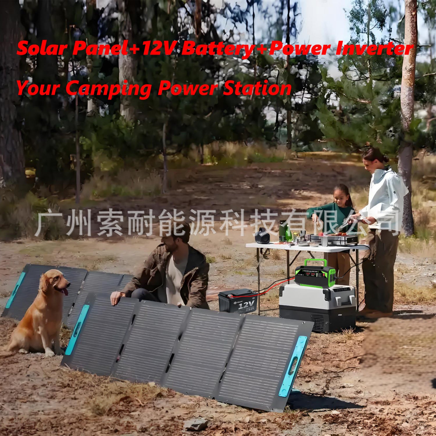 600W/1000W Vehicle Inverter12V Turn110V/220V Universal Socket with Digital Display/USB/Type-C