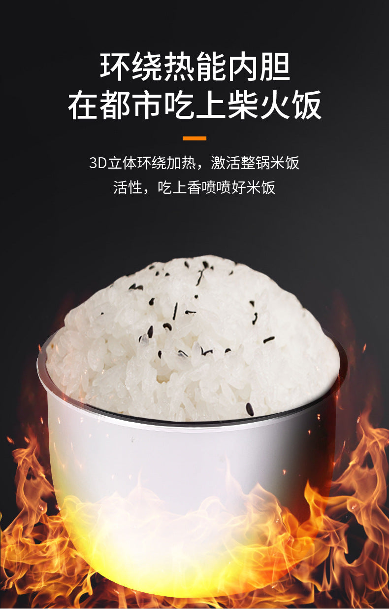 厂家直销家用5升大容量多功能电压力锅电饭煲压力锅批发