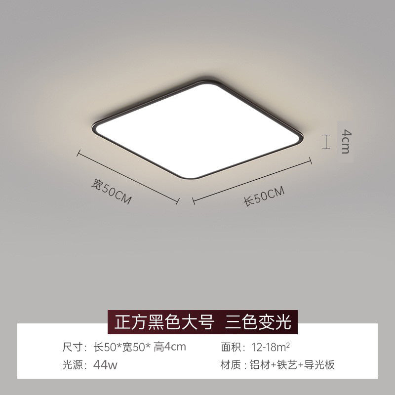 Full Spectrum Ceiling Light Hall High-end Zhongshan Lighting Modern Simple Living Room Light Home Study Bedroom Light