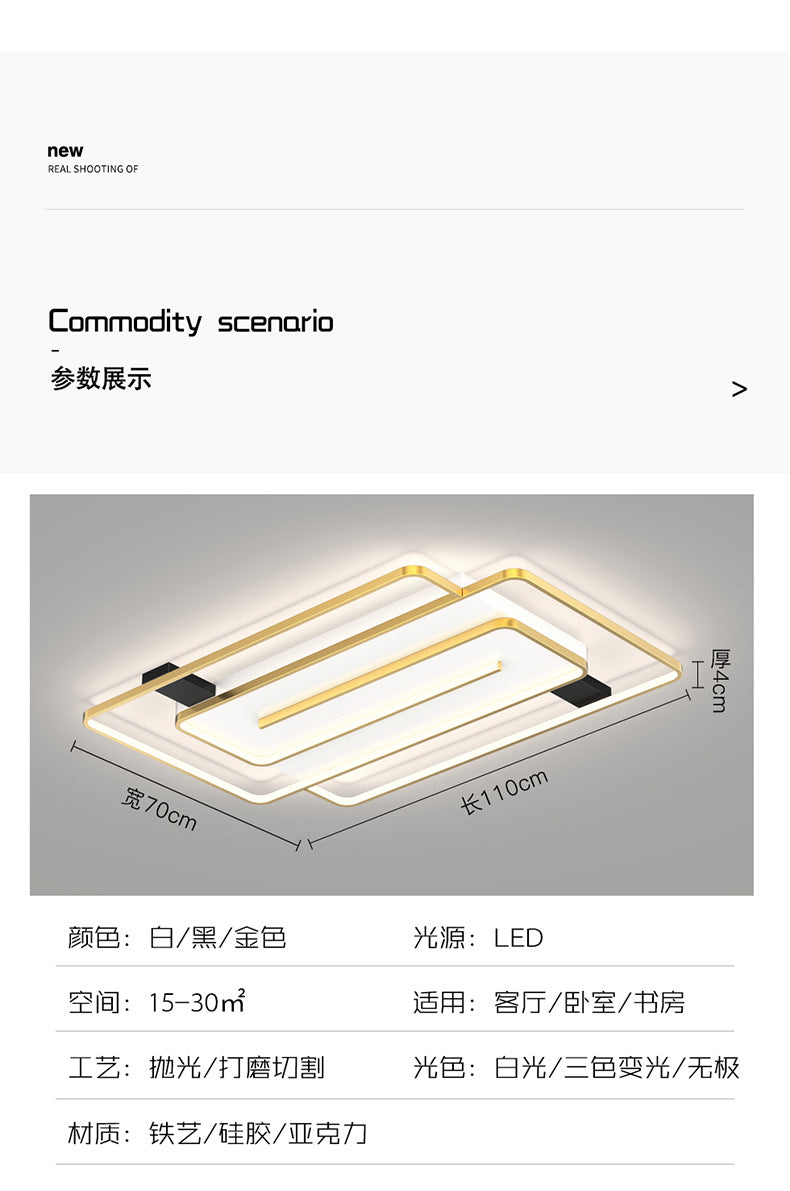 Light luxury living room lamp, simple modern style LED Ceiling Lamp2025New Year's New Personalized Restaurant Bedroom Creative Lamp