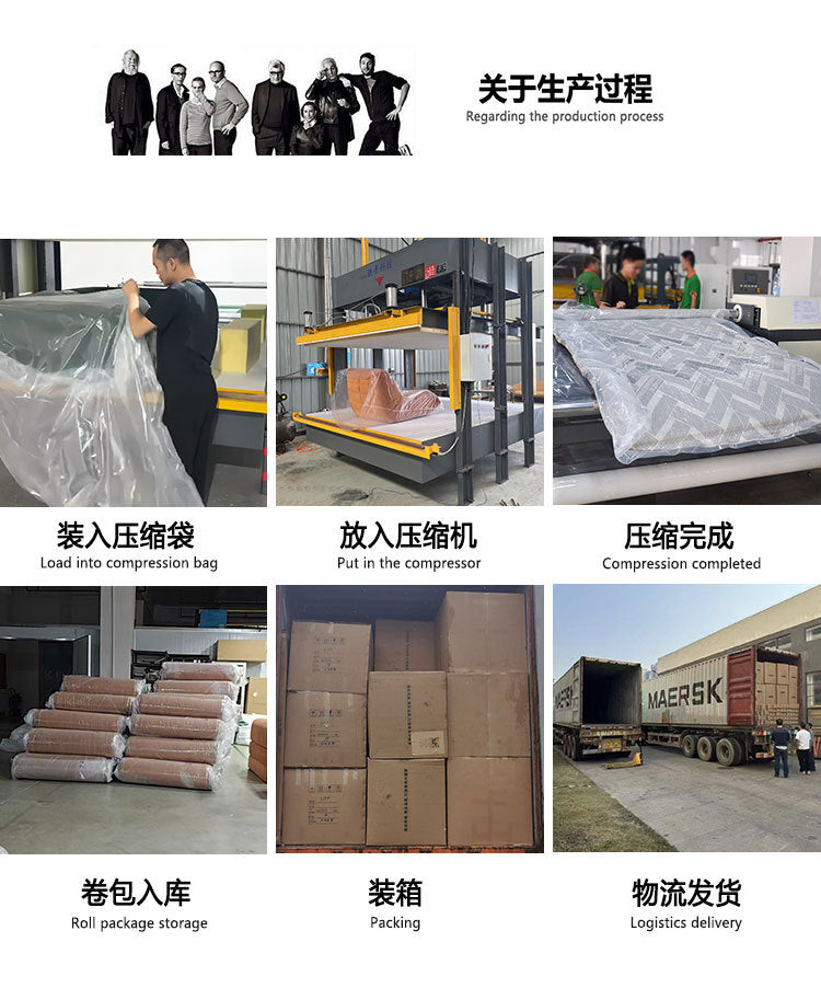 Apartment Fabric Sofa Vacuum Compression Roll Pack Living Room Curved Sofa One-piece Molded Pure Sponge Compression Sofa