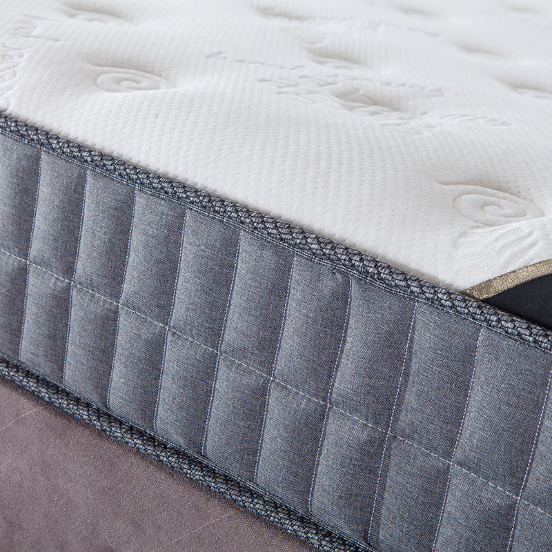 Mattress Simmons Manufacturer Hotel Dormitory Knitted Fabric Sponge Spring1.5Rice1.8Latex Spine Protector