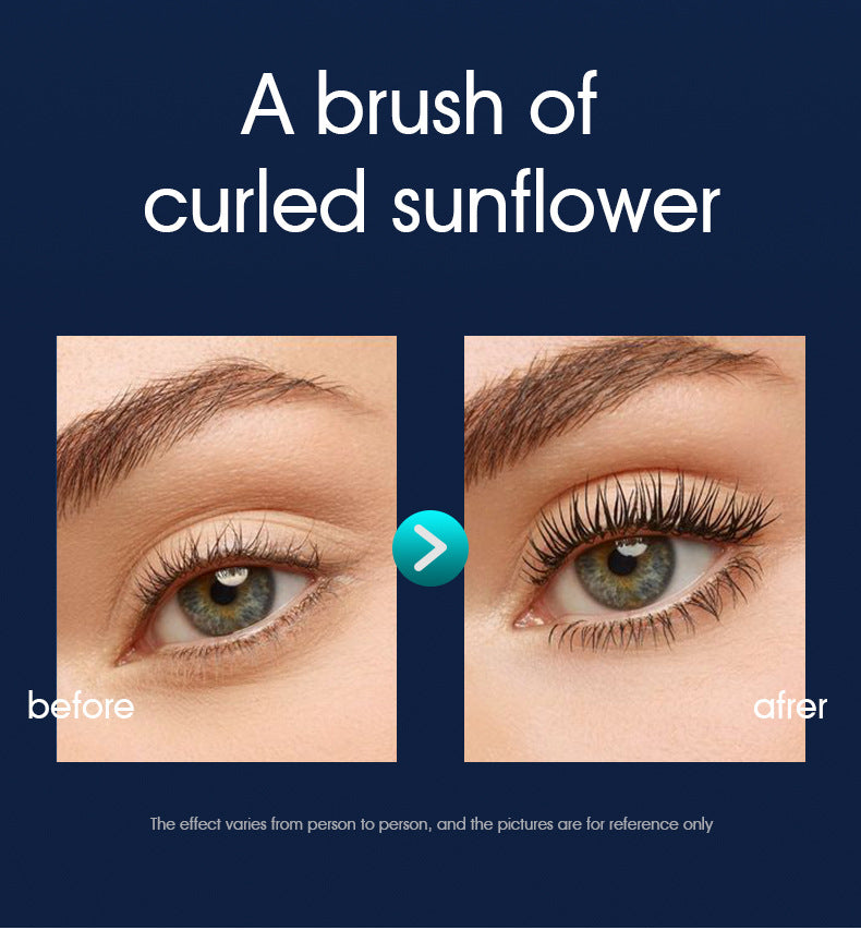 Mascara Waterproof Non-Smudge Lengthening Thick Curling Eyelash Version European Daily Use Makeup