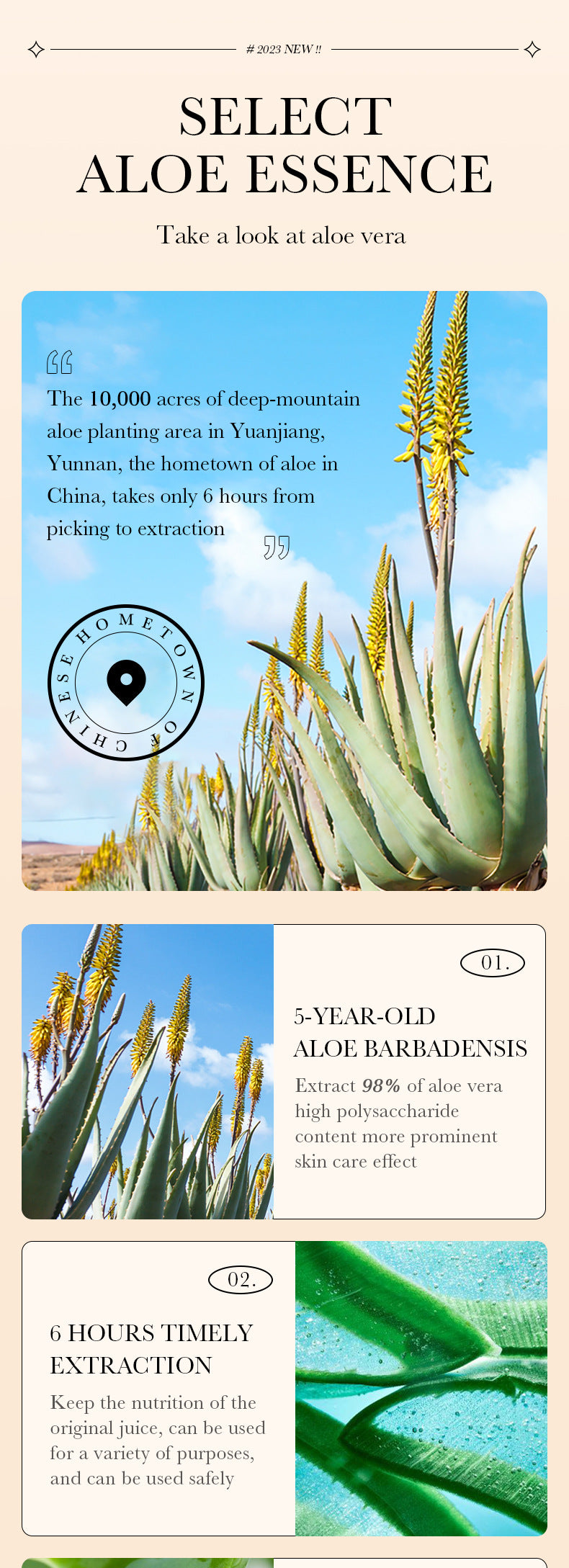 Full English Makeup SADOER Aloe Vera Foundation Liquid Long-lasting Clear Concealer Non-cakey  Wholesale