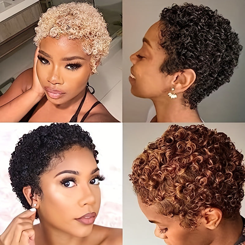 Black Women's Real Hair Wig Short Curly Wool Curl Wig