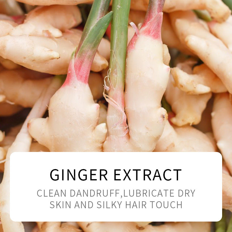 Full English Ginger Hair Mask500g SADOER Moisturizing and Smooth Hair Care  Foreign Trade Live Wholesale