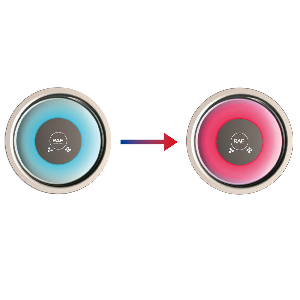 RAF European standard intelligent temperature control high-power high-speed hair dryer for home use Quick-Dry Hair Care Negative Ion R423