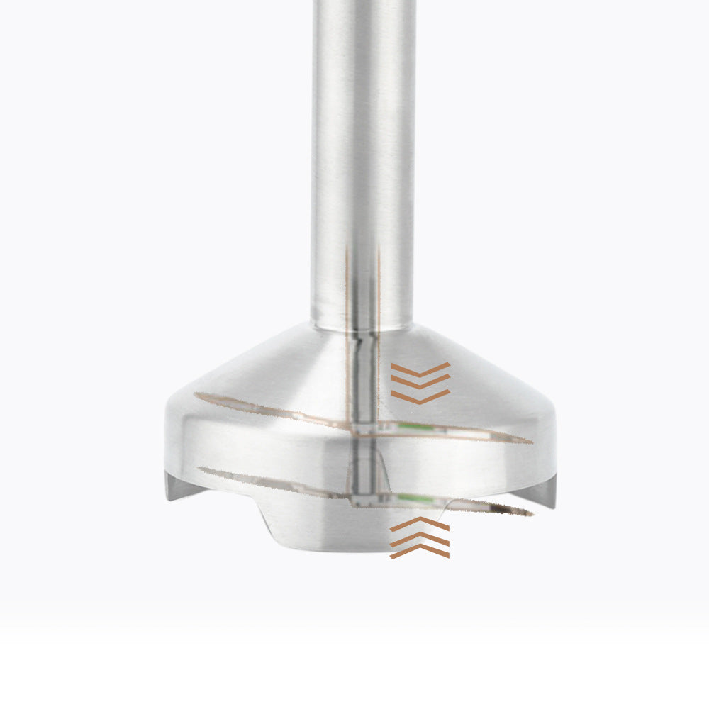 RAF EU Standard Portable Household Electric Stainless Steel Cooking Stick Blender Food Mixer 5-in-1309