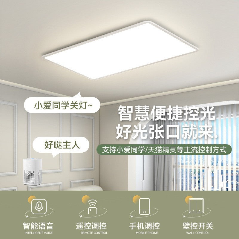 Full Spectrum Ceiling Light Hall High-end Zhongshan Lighting Modern Simple Living Room Light Home Study Bedroom Light