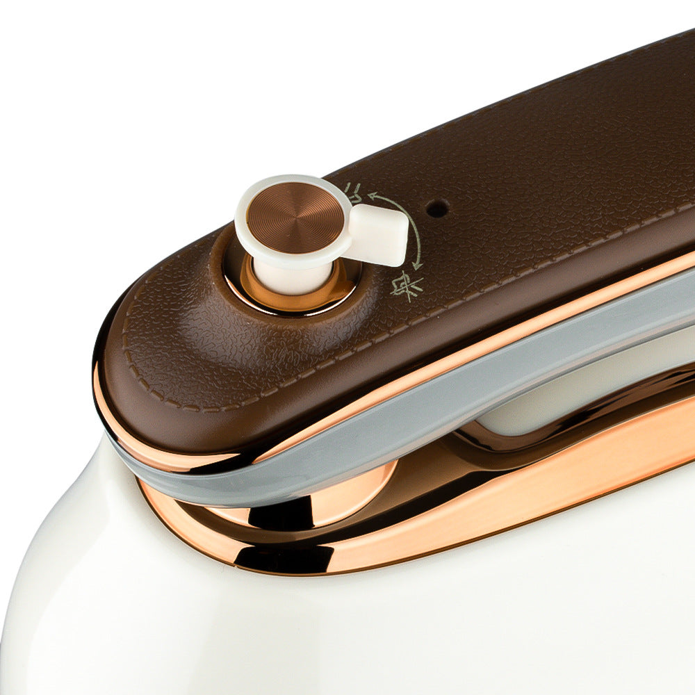 RAF EU Standard Handheld Steam Iron Portable Garment Steamer Home Business Travel Mini Iron