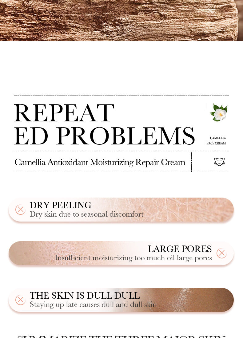 Camellia Face Cream BIOAOUA Hydrating, moisturizing, refreshing, non-sticky moisturizing cream cross-border foreign trade wholesale