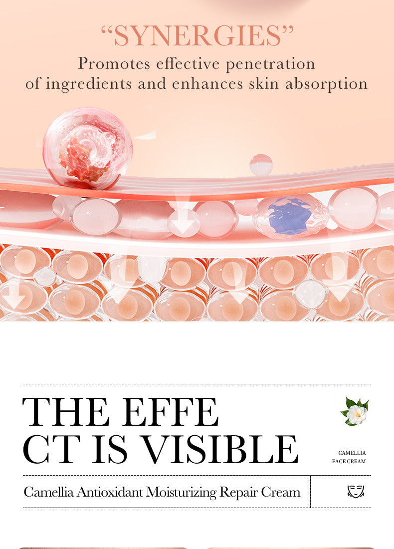 Camellia Face Cream BIOAOUA Hydrating, moisturizing, refreshing, non-sticky moisturizing cream cross-border foreign trade wholesale