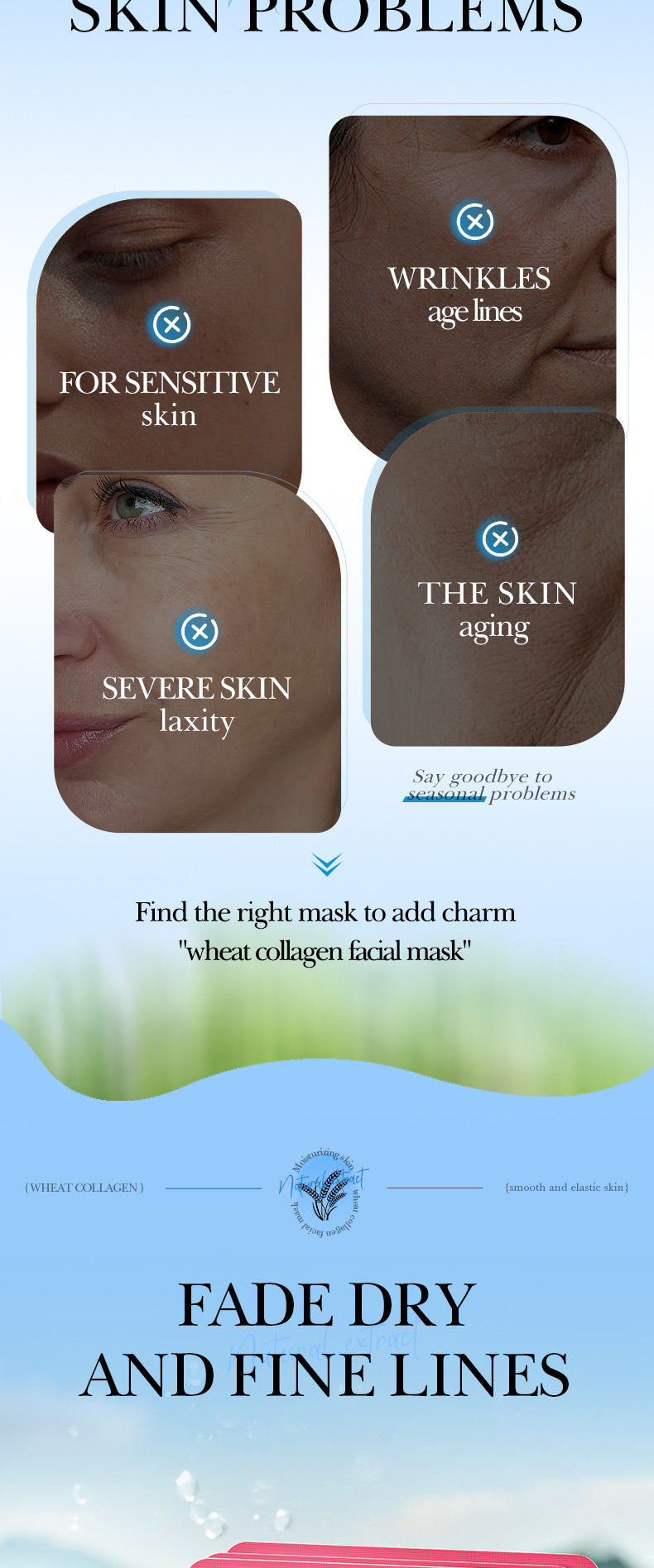 Cross-border Face Mask25ml Plant Series Wheat Olive Moisturizing Hydrating Mask Export Manufacturer Wholesale