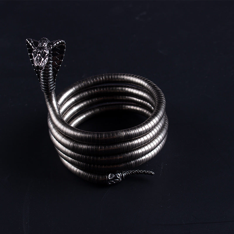 Men's New Necklace Women's Versatile High-end European and American Style Jewelry ins Minimalist Snake Bone Chain Snake Necklace