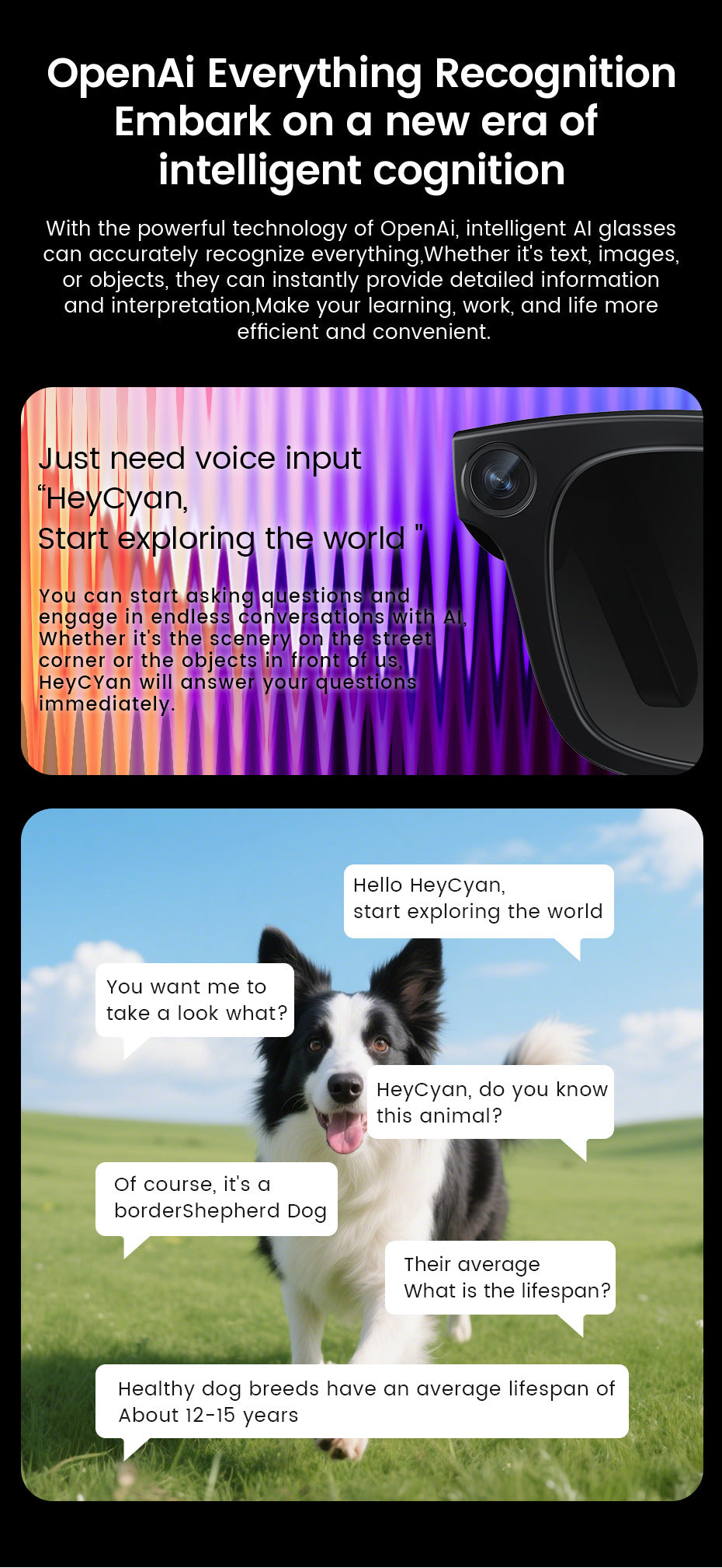 E03Smart Glasses800100 Megapixel Camera with Image Stabilization1200P Video Recording AI Simultaneous Translation Character Recognition