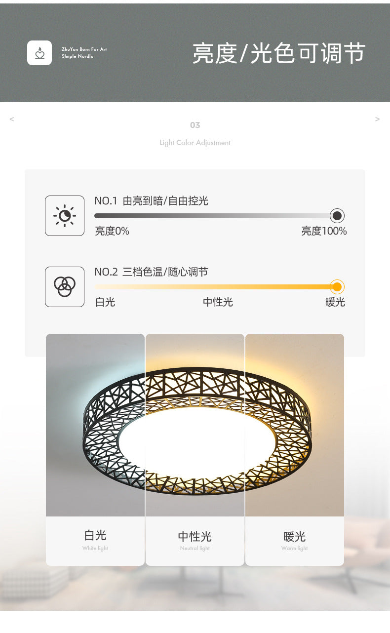 Lamp in the living room LED Ceiling Lamp2025Round Full Spectrum Bedroom Living Room Dining Room Lighting Bird's Nest Lamp Corridor
