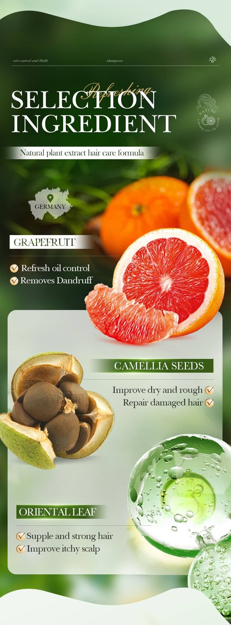 Camellia Seed Anti-Dandruff Shampoo SADOER Grapefruit Smooth Nourishing Shampoo Cross-Border Wholesale