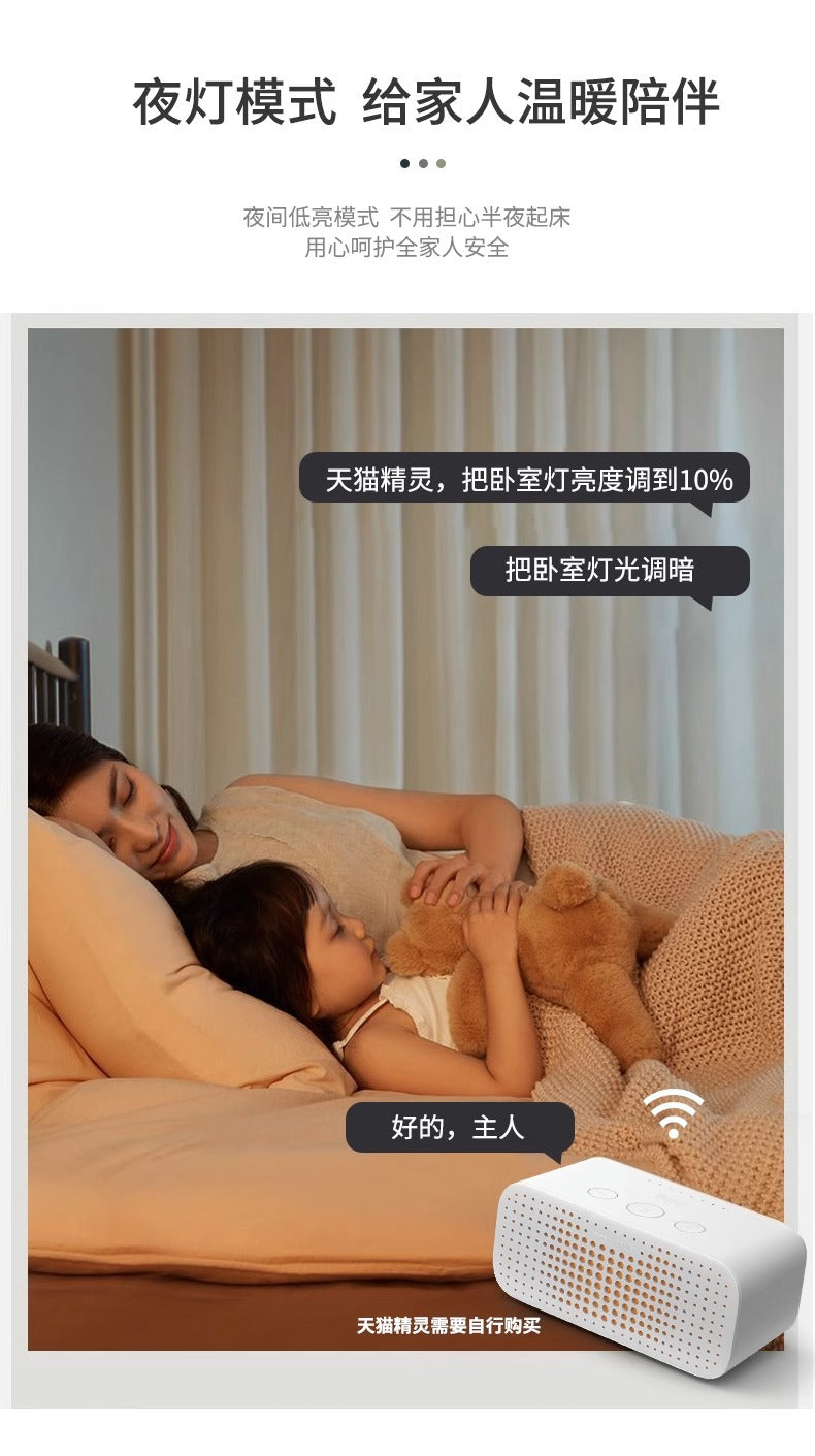 Rectangular Living Room Lamp LED Ceiling Lamp Art Bedroom Lamp Nordic Simple Modern Elegant Lighting Set