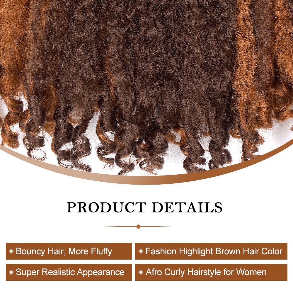 Cross-border African Synthetic Fiber Fake Unique Bouncy Curly Hair Wig