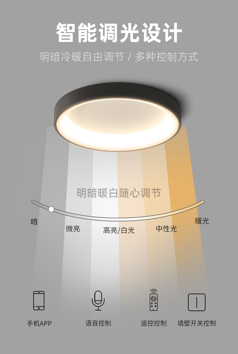 2025New Year's New Internet Celebrity Lighting Collection Master Bedroom Ceiling Light Simple Modern Nordic Style Room led bedroom lamp